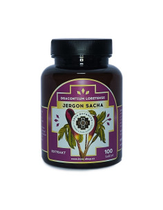 Jergon sacha 100 tabletten