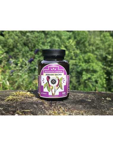 Jergon sacha 100 tabletten