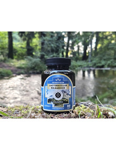 Lactobacillus Bulgaricus s lucumou 60 kapslí 2